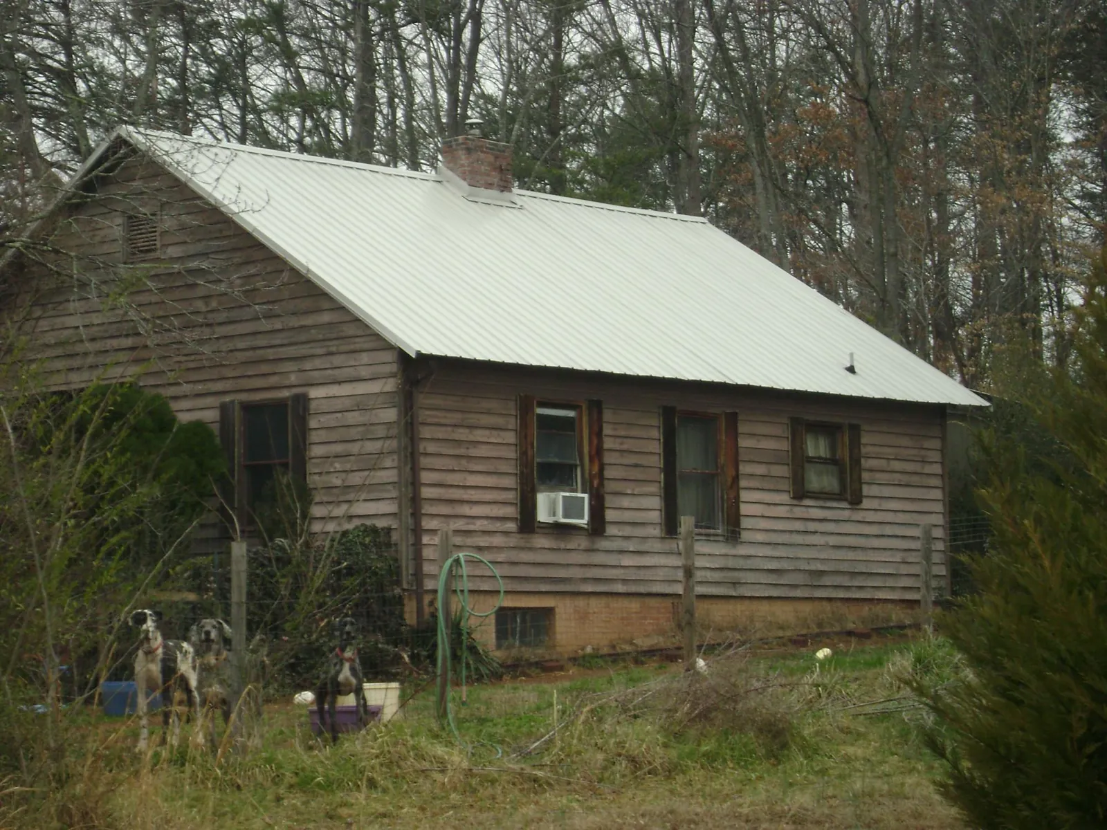 White metal roof on an old wood sided farmhouse, from a Asphalt Shingle Roof Repair job in Cannon Beach